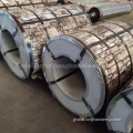 Ppgi Coil Zinc Coated PPGI Steel Coil Factory